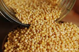 Image result for MILLET