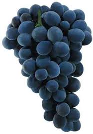 images?q=tbn:ANd9GcQjWwoRszAVozzaMghXVZtpzswr5Stn636AX7_A1hyMXVshxAjM8g