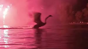 „Rhein in Flammen“ findet zum letzten Mal in der Bonner Rheinaue statt