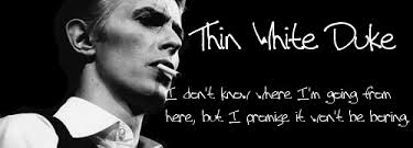 Image result for thin white duke