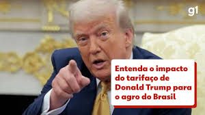 Marfrig e BRF Juntas! Gigante Alimentício Nasce no Brasil! - Imagen ilustrativa del artículo