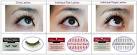 Individual Eyelashes on Pinterest Individual Eyelash Extensions