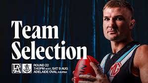 portadelaidefc.com.au - News update