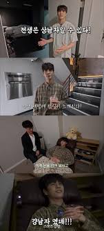 네이트 뉴스 - News update