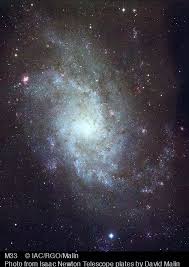 Image result for galaxy m33