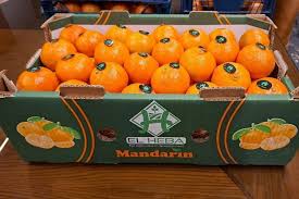 Oranges take center stage at Food Africa, Egypt