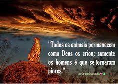 Resultado de imagem para os homens e os animais