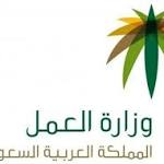 ضبط آلاف مخالفة لتأنيث محال
