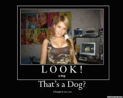 Image result for welcome to the internet meme