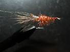 Saltwater shrimp fly patterns