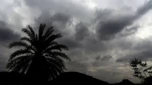 Jharkhand Weather Forecast: IMD Alert for Heavy Rain In Dumka, Dhanbad, Other Districts; Ranchi To See Showers On May 24-25