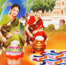 Image result for pongal festival images