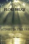 Image result for triumfi shqiptar flori bruqi