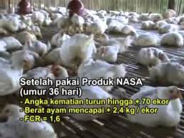 Hasil gambar untuk POC NASA atau VITERNA Plus