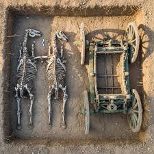 Archeology - Unearthed from an ancient burial pit, this remarkable find reveals the remains of a chariot alongside two harnessed horses, frozen in time for millennia. The wooden frame of the chariot,