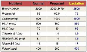Image result for diet seimbang untuk wanita