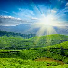 Image result for kerala images