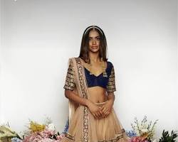 Image of Lehenga choli with a gown skirt