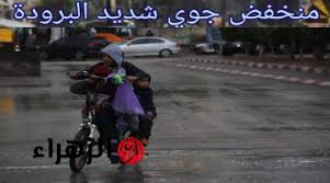 أجواء شديدة البرودة .. الأرصاد تحذر من تعرض البلاد لمنخض جوي شديد البرودة الأسبوع المقبل