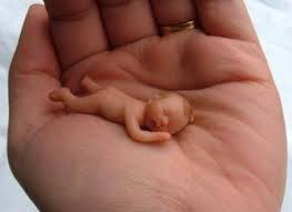 Résultat de recherche d'images pour "marzipan baby"