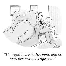 Image result for new yorker cartoons