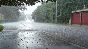 Maharashtra Monsoon Updates : पुढील तीन चार दिवसांत राज्यात मुसळधार ते अतिमुसळधार