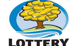 Kalamazoo County woman ‘I started screaming’ after winning $2M Lottery prize