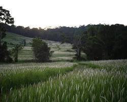 อุทยานแห่งชาติเขาใหญ่-เขาแหลม