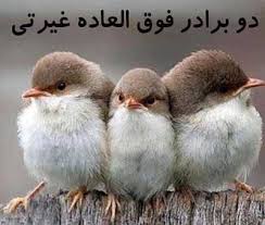 Image result for ‫عکس خنده دار‬‎