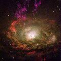 Image result for circinus galaxy