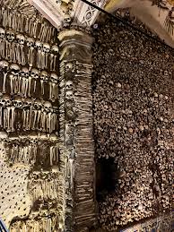 File:We bones that are here, await yours (50841289246).jpg - Wikimedia Commons