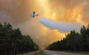 Live updates: Crow Wing County's Flanders Fire burns 600+ acres