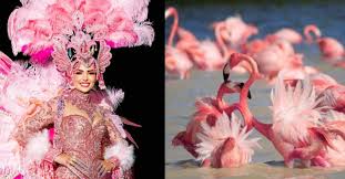 Flamencos y rosa mexicano: así es el traje típico de México en Miss Universo 2026