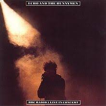 Резултат слика за echo and the bunnymen biografija benda