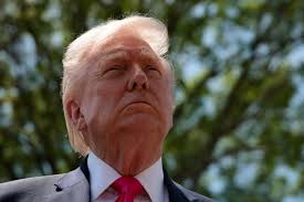 Trump considers capital gains tax cuts ahead of midterm election- Bloomberg