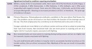 Image result for eyeball enucleation cattle