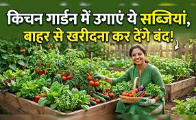 अप्रैल में लगा दिए ये पौधे तो जून में भर-भरकर आएंगी सब्जियां! जानें आसान किचन गार्डन सीक्रेट