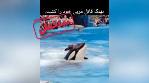 جسیکا مربی نهنگ قاتل
