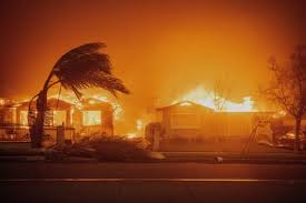 Devastating LA wildfire sparked by utility company tower, long-awaited report finds