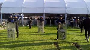 Corona Capital 2025 Cartel