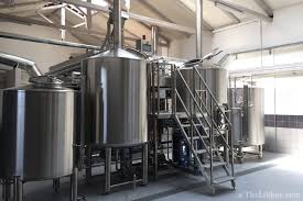 Image result for noctua beer athens