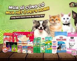 Pet's Home  cửa hàng chăm sóc pet tại TP.HCM