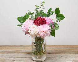 flowers in a vase with a small amount of waterの画像