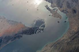 News source: ナショナルジオグラフィック日本版