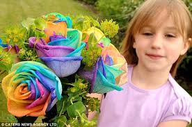 Rainbow Rose / Mawar Pelangi - article-1282879-09d46e3f000005dc-453_634x421