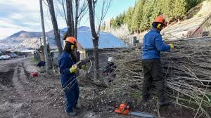 ¡Esquel al Toque! Tu Barrio Ahora con + Servicios GRATIS: ¡Entérate!