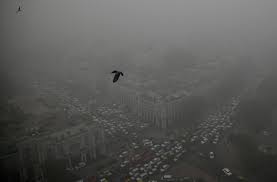 Image result for smog in delhi