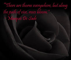 Marquis de Sade quote | My outlook on, and approach to, life and ... via Relatably.com
