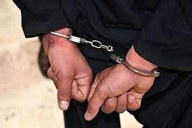 حکم جلب بلاگر جنجالی به دلیل توهین به اقوام صادر شد