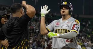 LVBP: Cuádruple Cartelera Enciende la Pasión del Béisbol Venezolano
